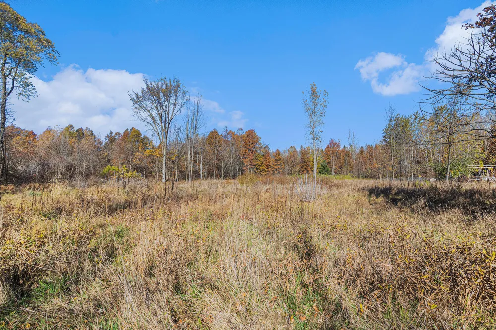 3 24th Avenue Grand Junction, MI 49056