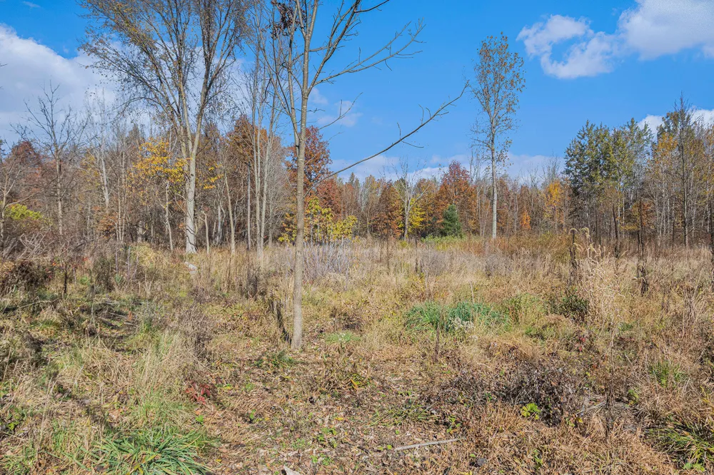 3 24th Avenue Grand Junction, MI 49056