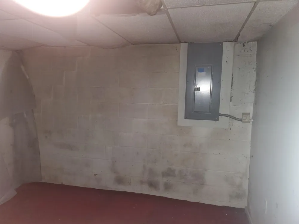 7323 Karlin Road Grant Township, MI 49643