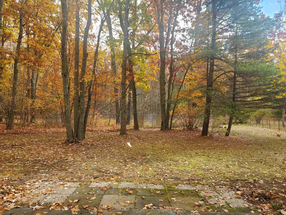 7323 Karlin Road Grant Township, MI 49643
