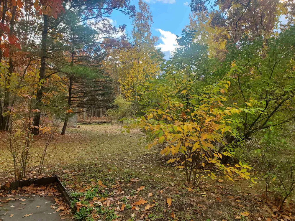 7323 Karlin Road Grant Township, MI 49643