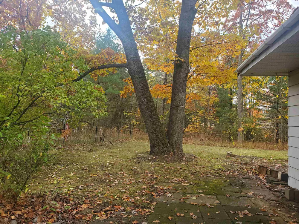 7323 Karlin Road Grant Township, MI 49643