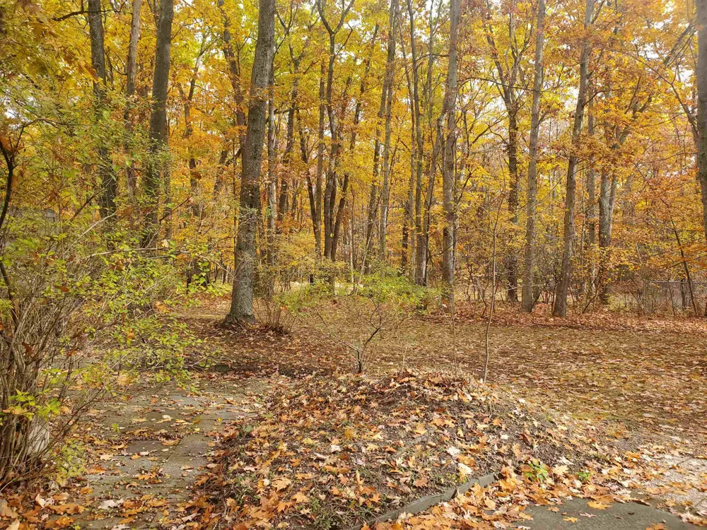 7323 Karlin Road Grant Township, MI 49643