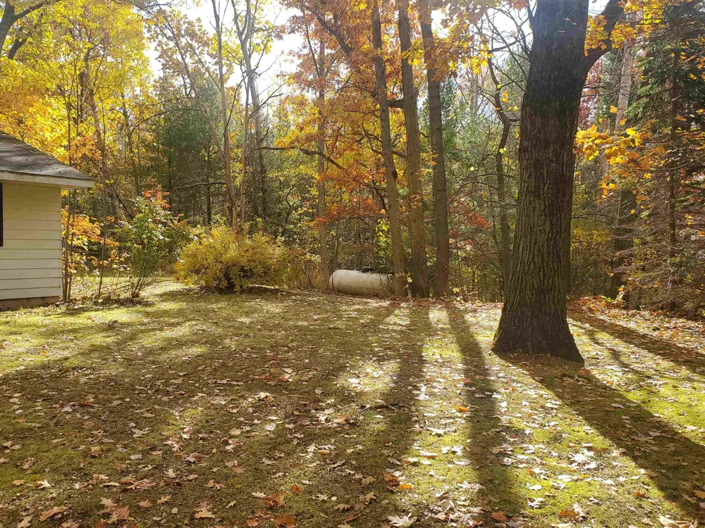 7323 Karlin Road Grant Township, MI 49643