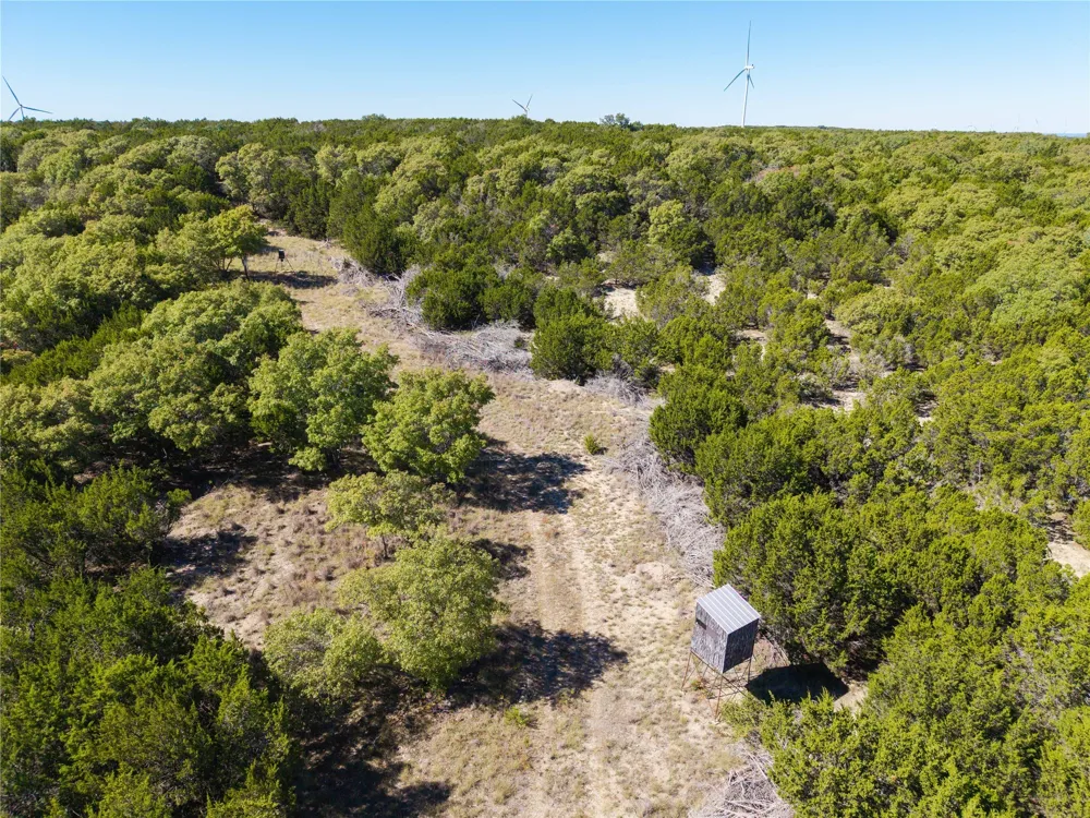 52 CR-407 ROAD Cross Plains, TX 75232