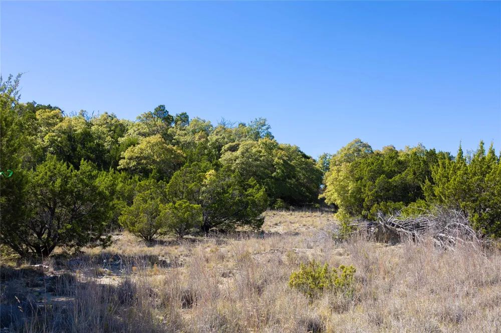 52 CR-407 ROAD Cross Plains, TX 75232