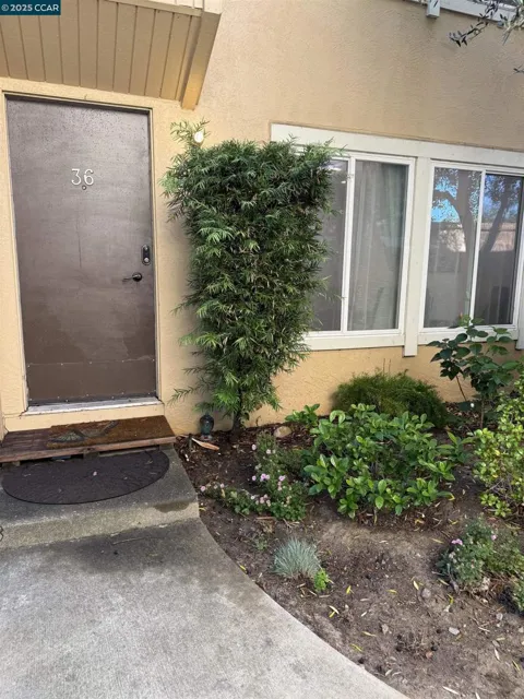 3055 Treat Blvd #36