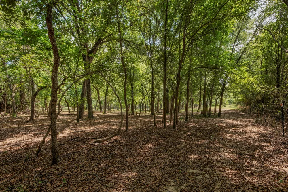 395 County Rd 2530 Meridian, TX 76665