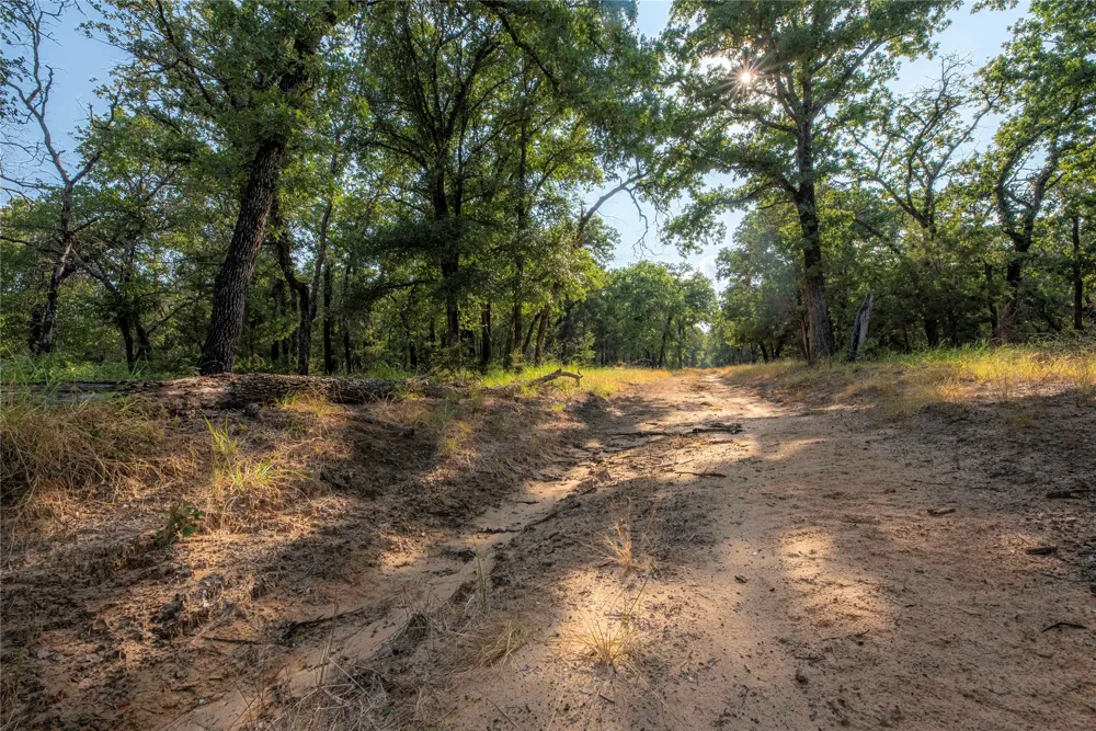 11157 State Highway 36 Jonesboro, TX 76538