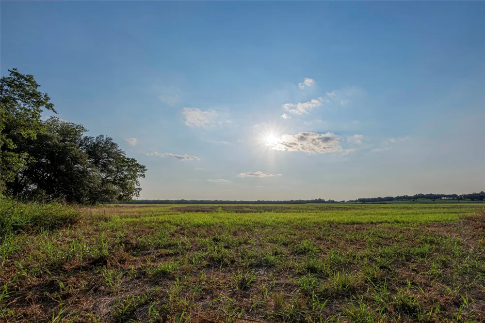 11157 State Highway 36 Jonesboro, TX 76538