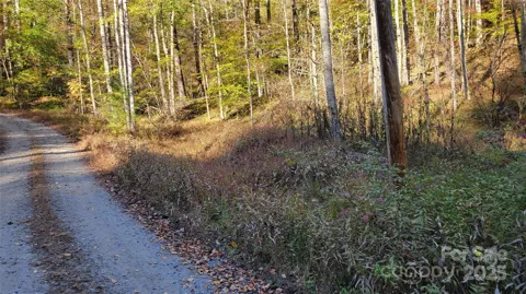 000 Cabin Hill Road