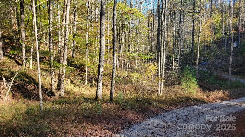 000 Cabin Hill Road Green Mountain, NC 28740