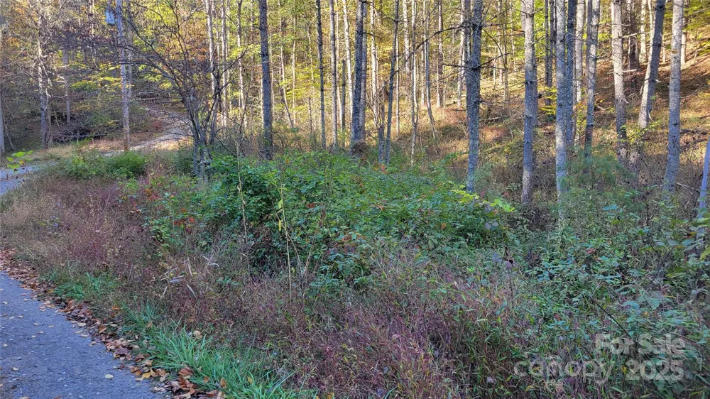 000 Cabin Hill Road Green Mountain, NC 28740