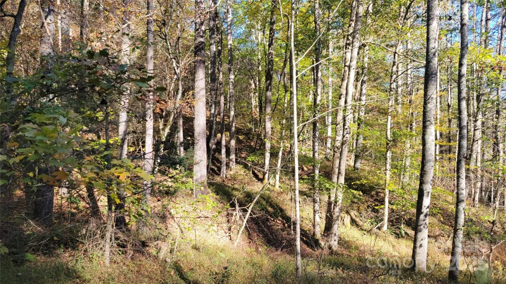 000 Cabin Hill Road Green Mountain, NC 28740