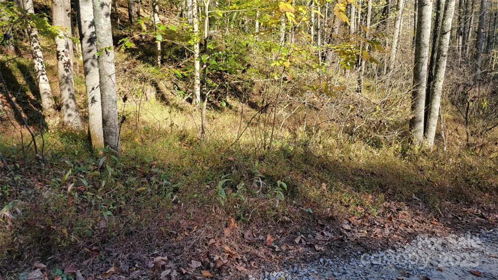 000 Cabin Hill Road Green Mountain, NC 28740