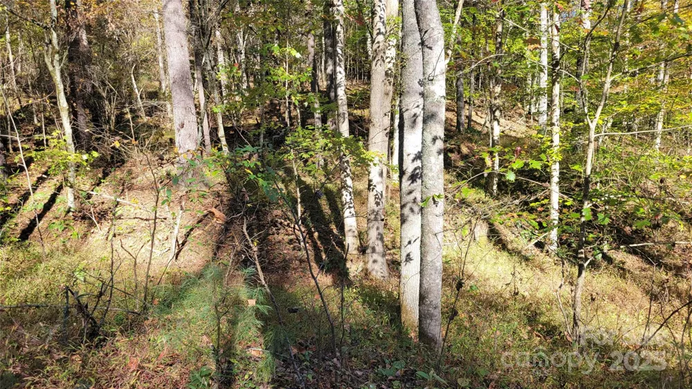 000 Cabin Hill Road Green Mountain, NC 28740
