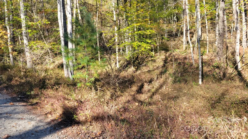 000 Cabin Hill Road Green Mountain, NC 28740