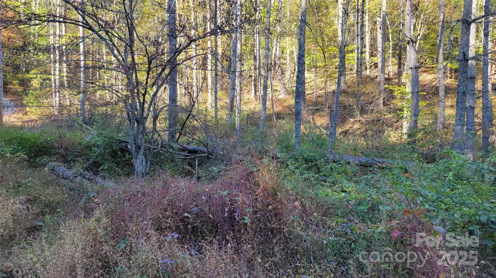 000 Cabin Hill Road Green Mountain, NC 28740