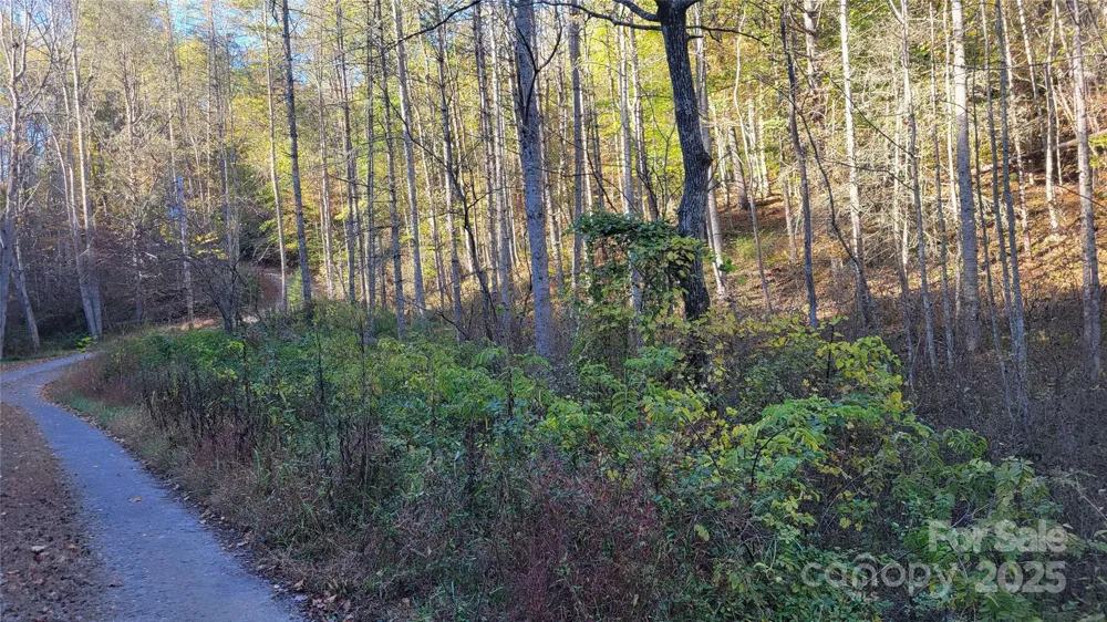 000 Cabin Hill Road Green Mountain, NC 28740