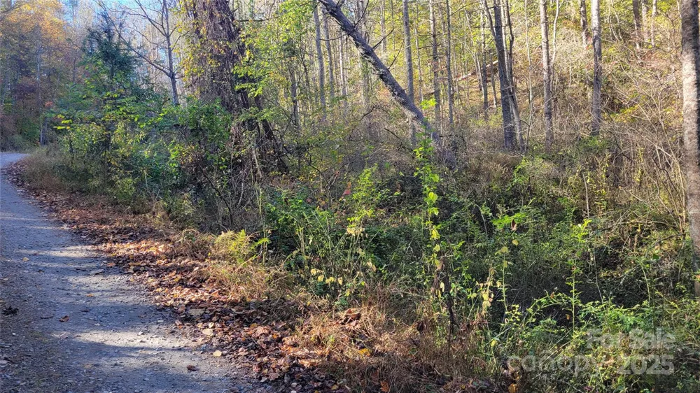 000 Cabin Hill Road Green Mountain, NC 28740