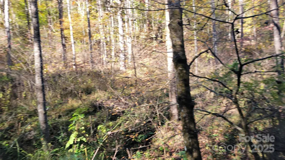 000 Cabin Hill Road Green Mountain, NC 28740