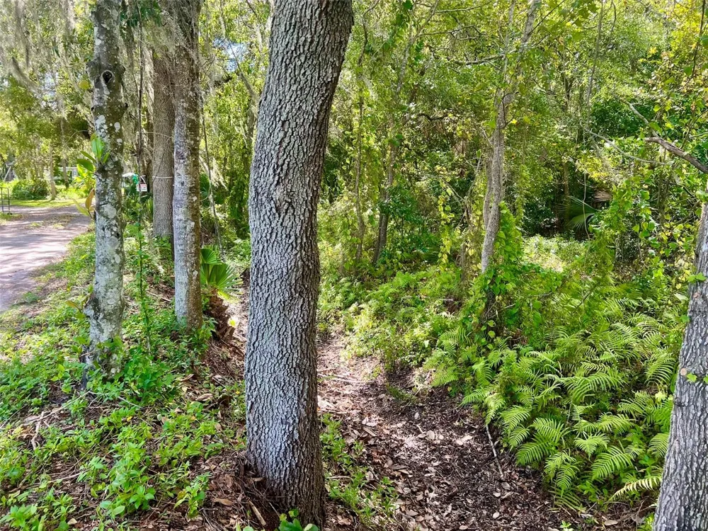 2175 W 25TH STREET Sanford, FL 32771