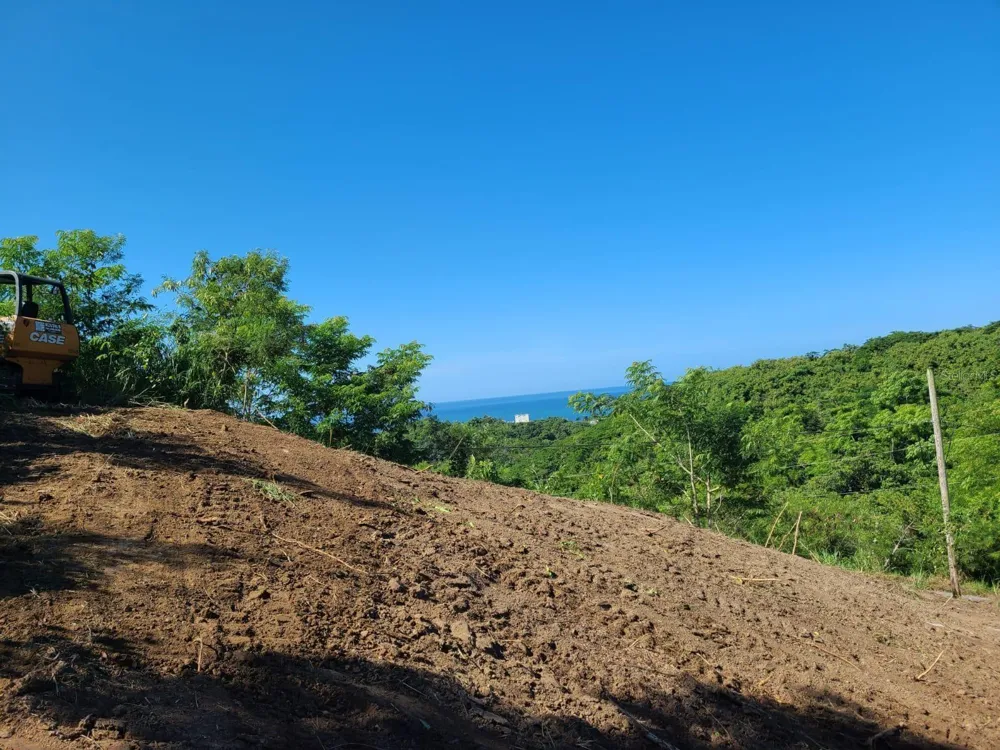 Km 5.9 CARR 413 Rincon, PR 00677