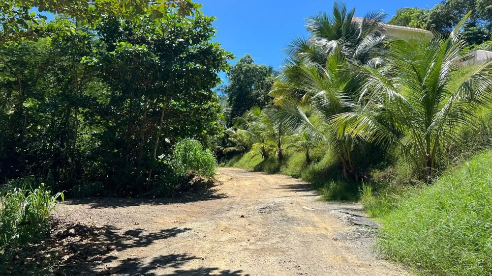 Km 5.9 CARR 413 Rincon, PR 00677