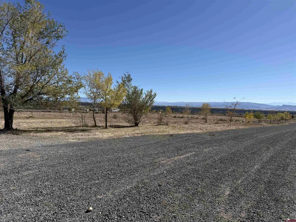 11 2625 LANE Cedaredge, CO 81413