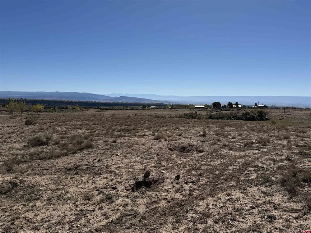 11 2625 LANE Cedaredge, CO 81413