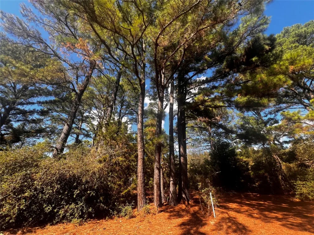 411 Laura Lane Bastrop, TX 78602