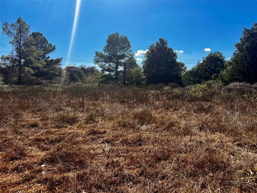 411 Laura Lane Bastrop, TX 78602