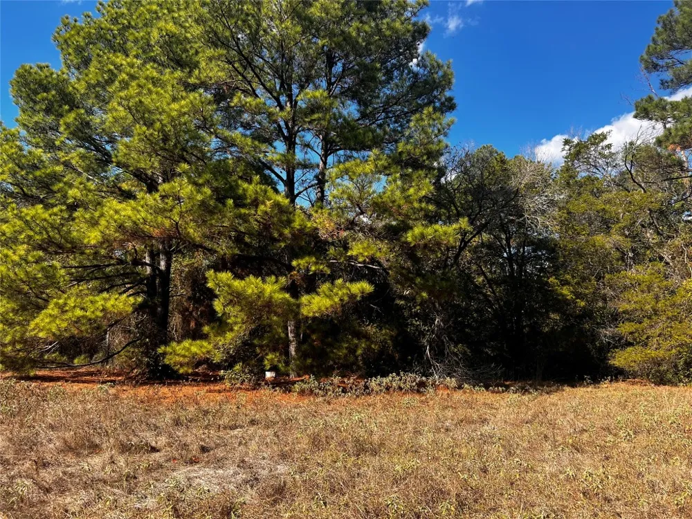 411 Laura Lane Bastrop, TX 78602