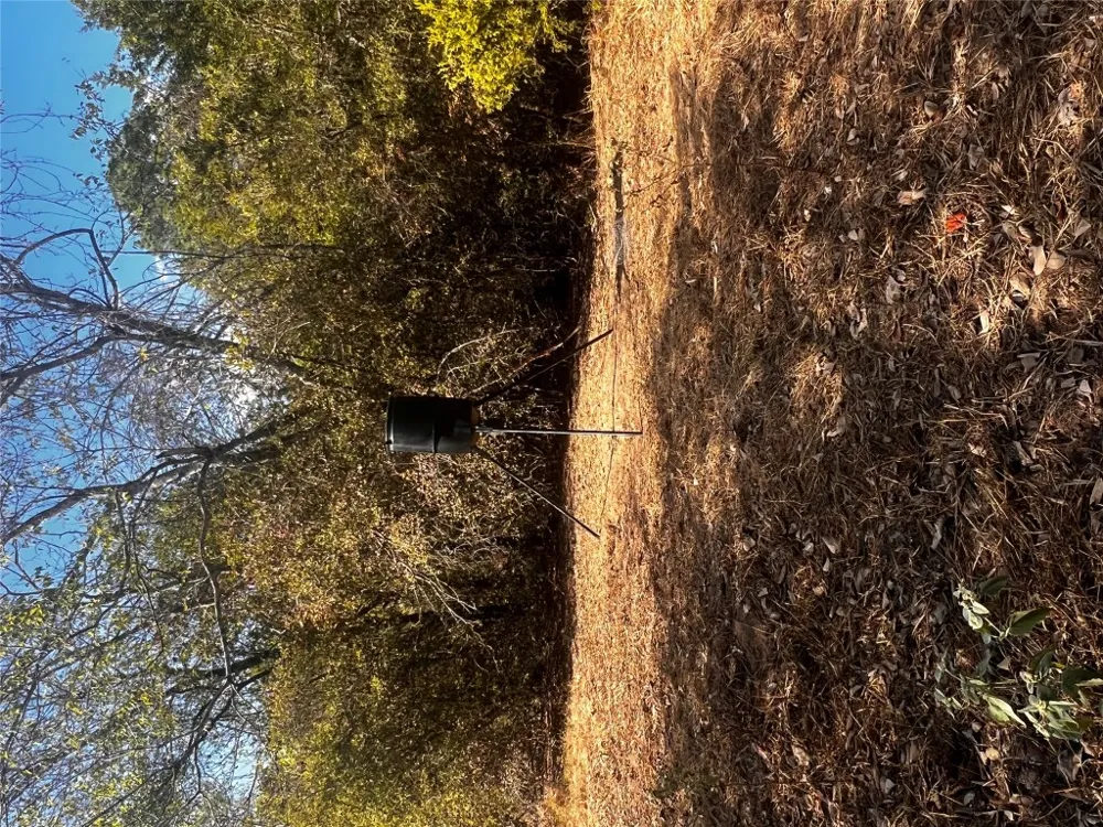 411 Laura Lane Bastrop, TX 78602