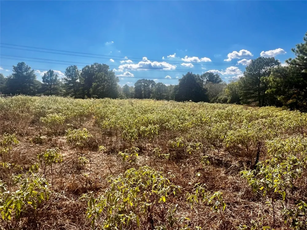 411 Laura Lane Bastrop, TX 78602