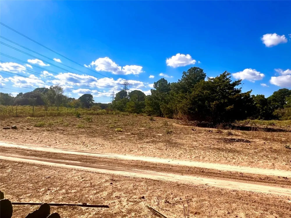 411 Laura Lane Bastrop, TX 78602
