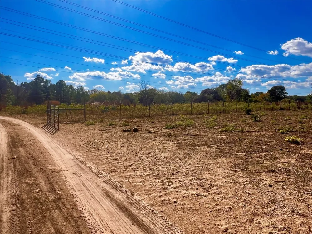 411 Laura Lane Bastrop, TX 78602