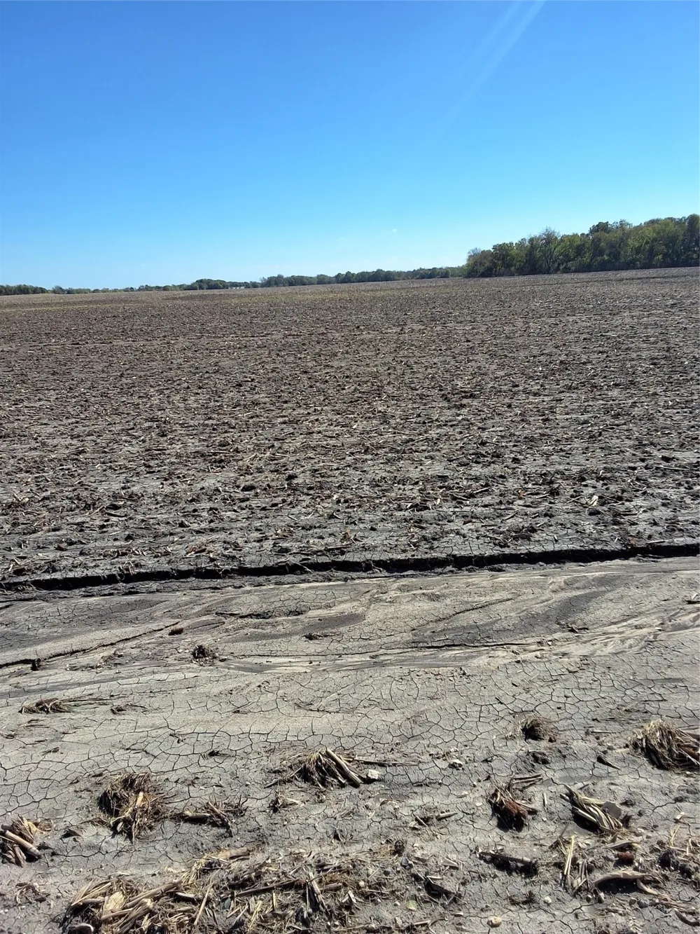 HCR 3124 Bynum, TX 76631