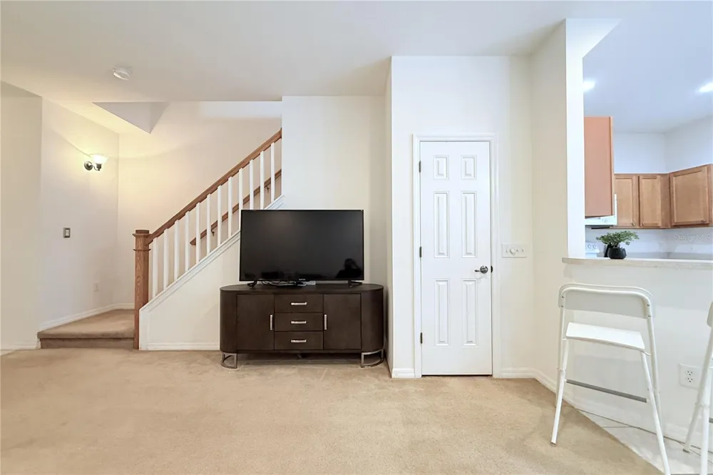 314 SUMMER CLOUDS PL Brandon, FL 33511