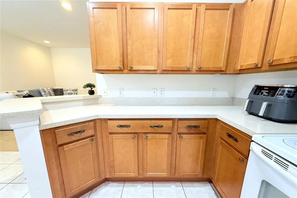 314 SUMMER CLOUDS PL Brandon, FL 33511