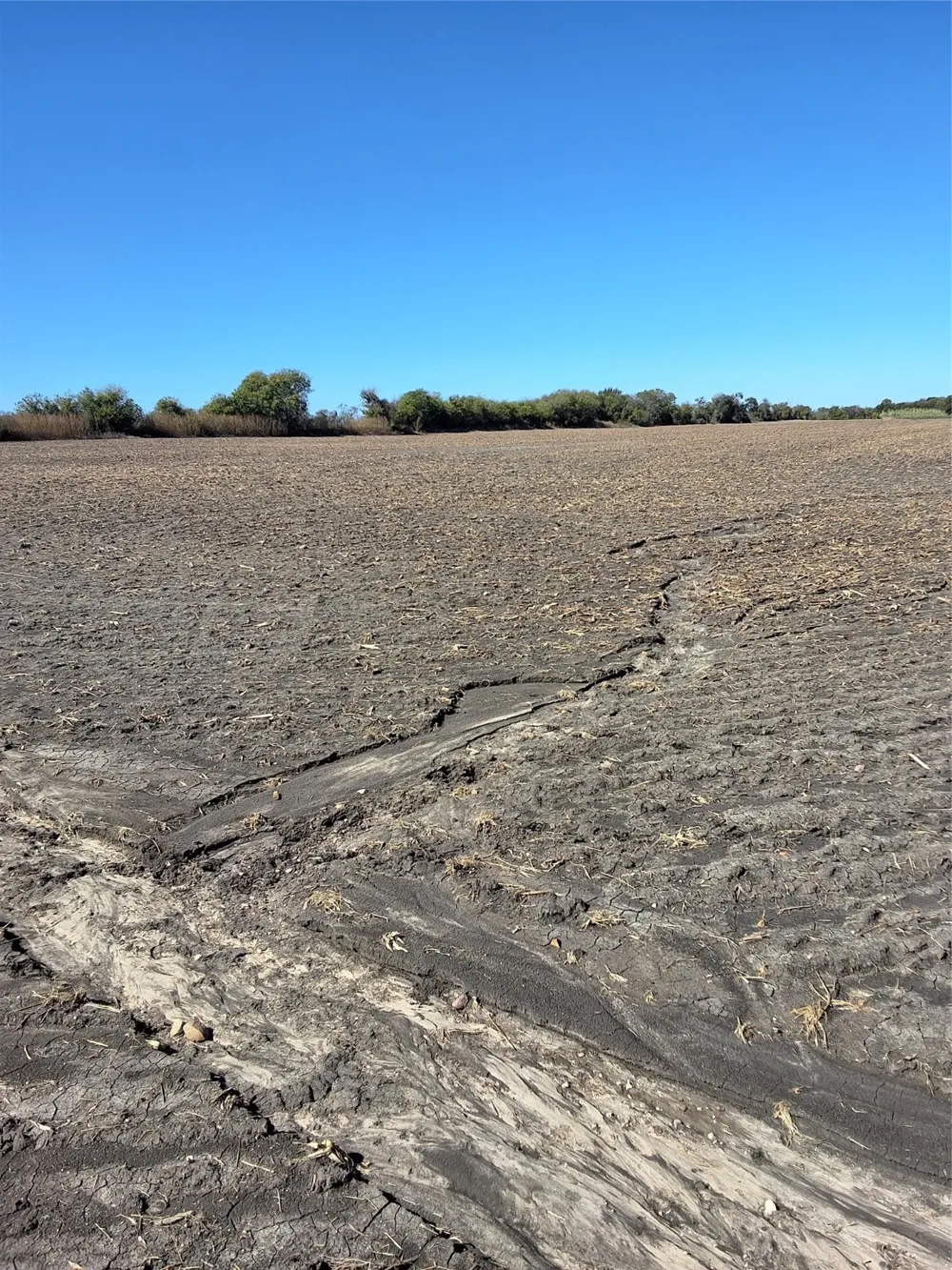 HCR 3124 (Main ST) Bynum, TX 76631