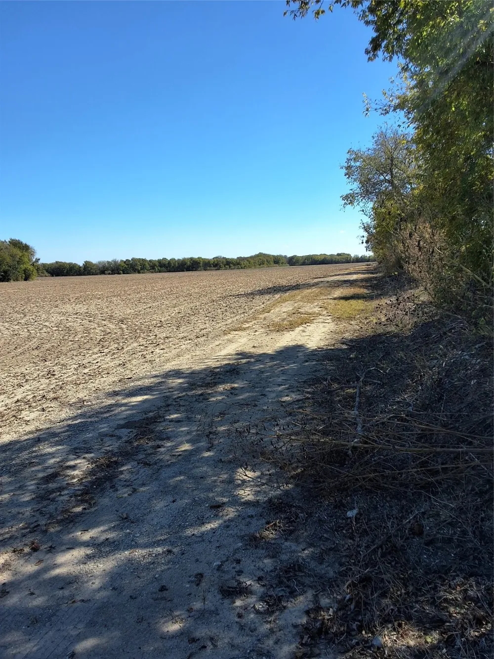 HCR 3124 (Main ST) Bynum, TX 76631