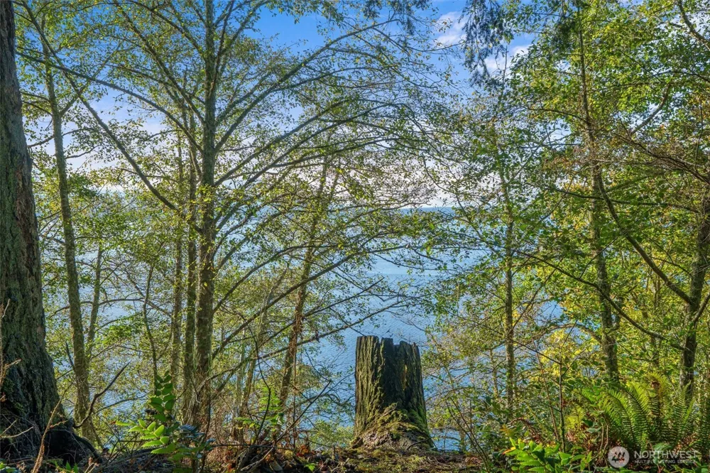 4530 Smugglers Cove Rd Road Freeland, WA 98429