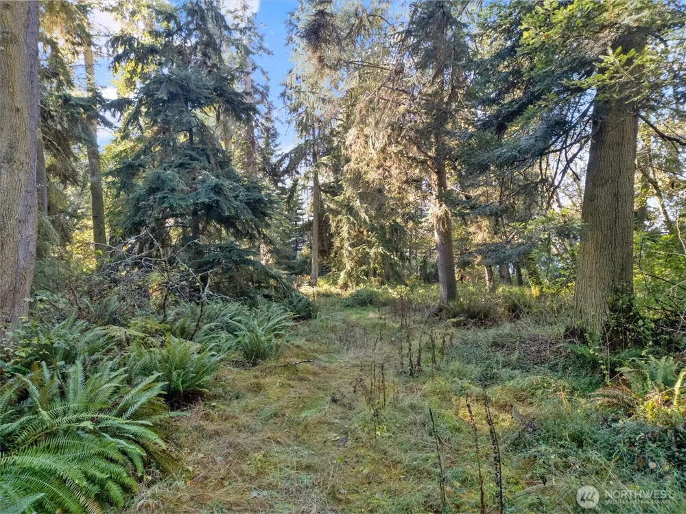 4530 Smugglers Cove Rd Road Freeland, WA 98429