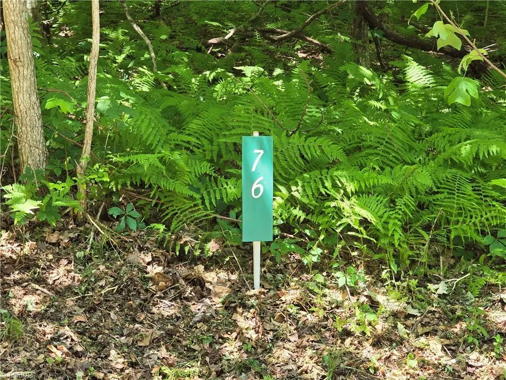 TBD 76 White Tail Trail West Jefferson, NC 28694