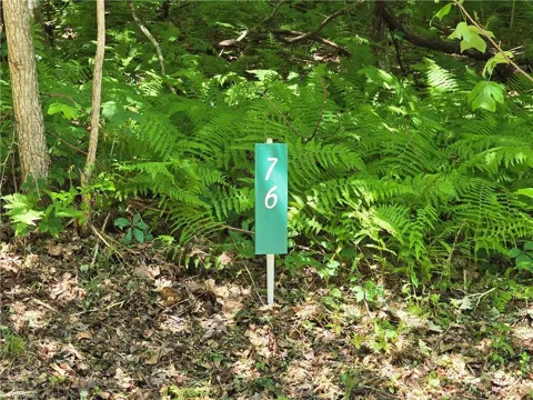 TBD 76 White Tail Trail