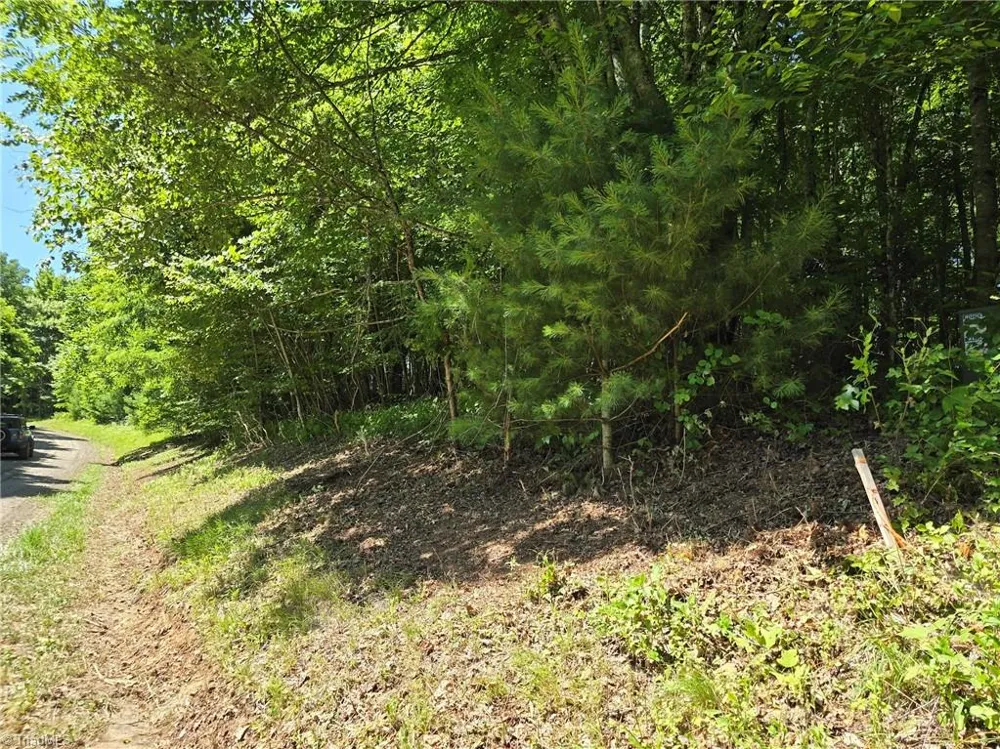 TBD 76 White Tail Trail West Jefferson, NC 28694