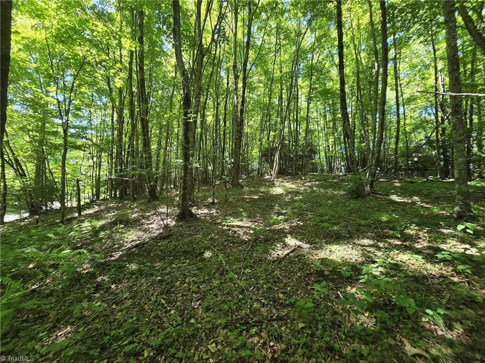 TBD 76 White Tail Trail West Jefferson, NC 28694