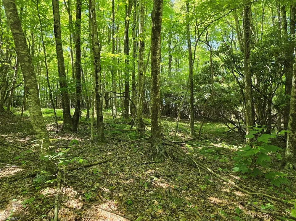 TBD 76 White Tail Trail West Jefferson, NC 28694
