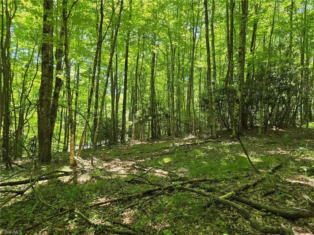TBD 76 White Tail Trail West Jefferson, NC 28694